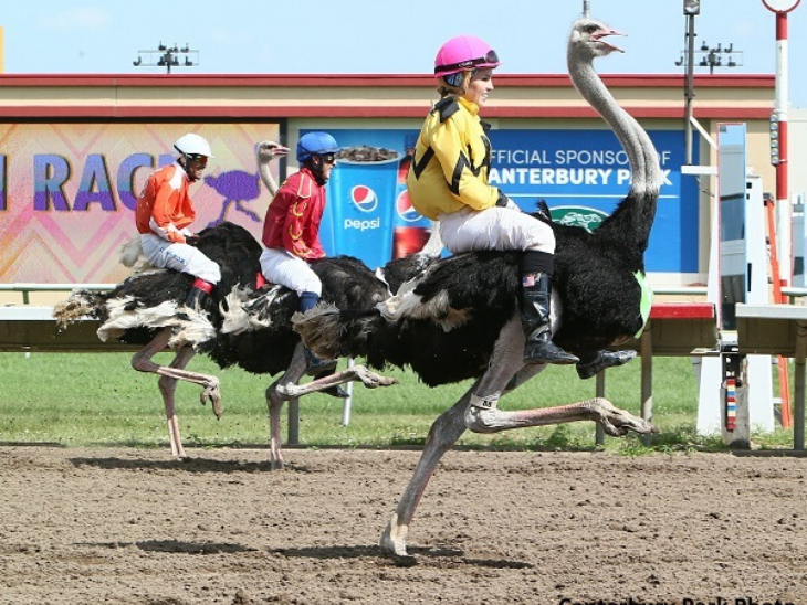 Unusual Sports from Around the World